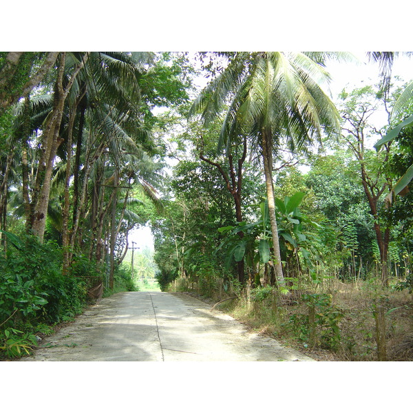照片 泰国(Thailand) 考拉(Khao Lak) 考拉艾美酒店(Meridien Khao Lak Hotel) 2005-12 180