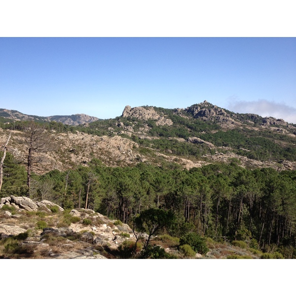 照片 法国(France) 科西嘉岛(Corsica) 奥斯佩达莱森林(L'ospedale Forest) 2012-09 9