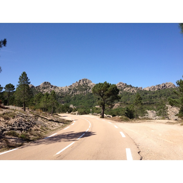 照片 法国(France) 科西嘉岛(Corsica) 奥斯佩达莱森林(L'ospedale Forest) 2012-09 0