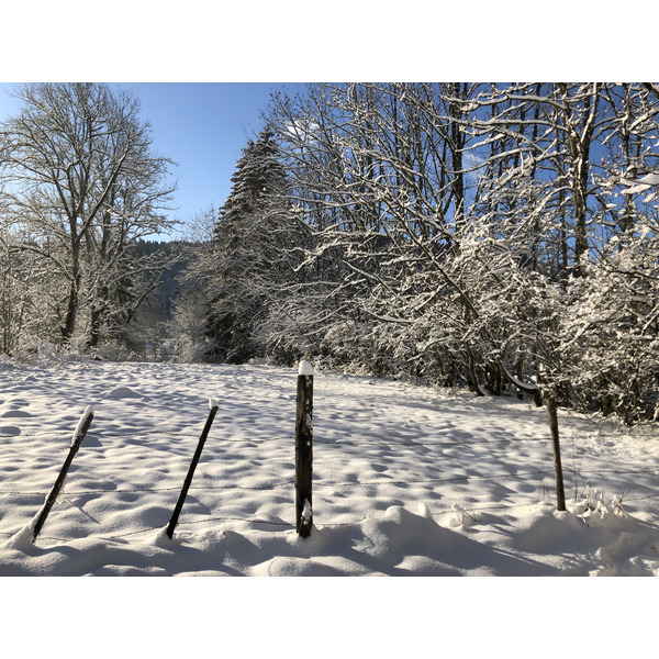 照片 瑞士(Switzerland) 克莱恩-蒙塔纳(Crans Montana) 2020-12 488