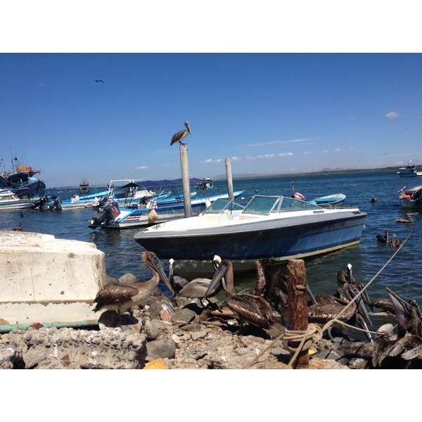 照片 哥斯达黎加(Costa Rica) 蓬塔雷纳斯(Puntarenas) 2015-03 97