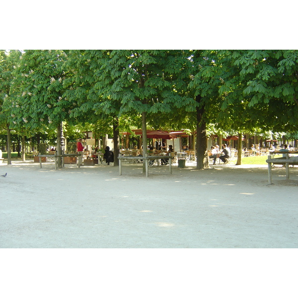 照片 法国(France) 巴黎(Paris) 杜乐丽花园(Garden of Tuileries) 2007-05 234