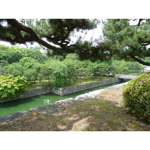 照片 日本(Japan) 京都(Kyoto) 二条城(Nijo Castle) 本丸御殿(Honmaru Palace) 2010-06 3