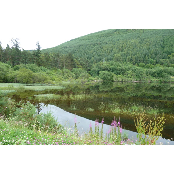 照片 英国(United Kingdom) 苏格兰(Scotland) 拉甘湖至尼斯湖公路(Loch Laggan to Loch Ness road) 2011-07 12