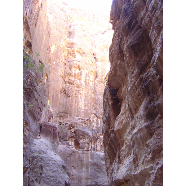 照片 约旦(Jordan) 佩特拉(Petra) 2004-10 1