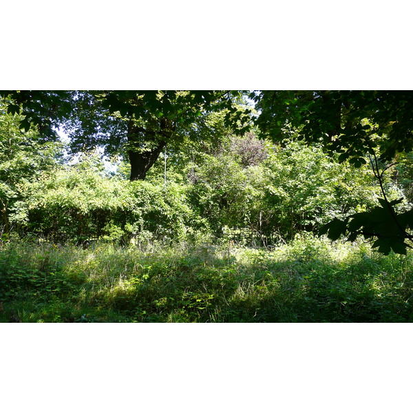 照片 法国(France) 巴黎(Paris) 拉内拉赫花园(Jardins du Ranelagh) 2007-08 26