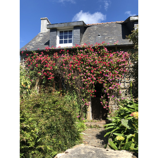 照片 法国(France) 布雷阿岛(Brehat Island) 2020-06 233