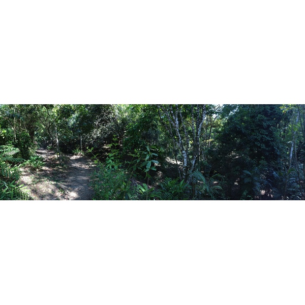 照片 哥斯达黎加(Costa Rica) 曼努埃尔安东尼奥(Manuel Antonio) 2015-03 133