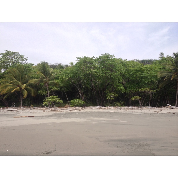 照片 哥斯达黎加(Costa Rica) 蒙特苏马(Montezuma) 2015-03 168