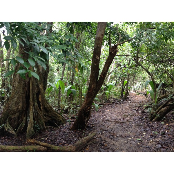 照片 哥斯达黎加(Costa Rica) 卡维塔(Cahuita) 2015-03 250