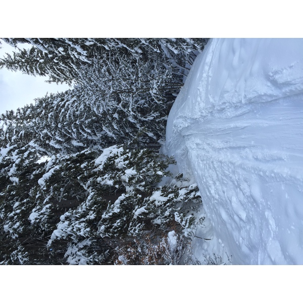 照片 法国(France) 梅杰夫(Megeve) 2016-02 52