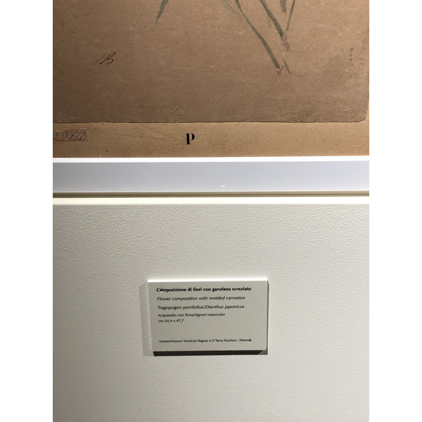 照片 意大利(Italy) 西西里岛(Sicily) 巴勒莫(Palermo) 诺曼王宫(Palazzo dei Normanni) 2020-02 223
