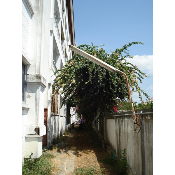 照片 泰国(Thailand) 宗甸海滩(Jomtien Beach) 雄伟公寓(Majestic Condo) 2007-02 0