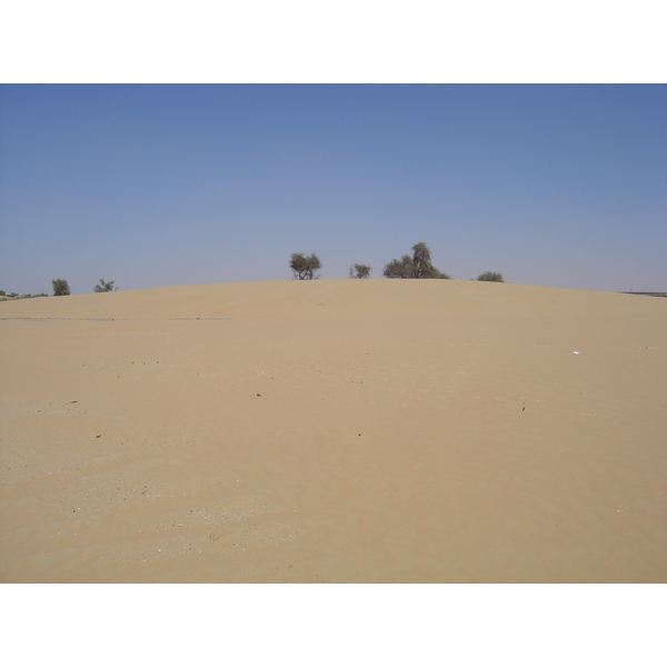 照片 阿联酋(United Arab Emirates) 阿治曼附近公路(Road near Ajman) 2005-03 9