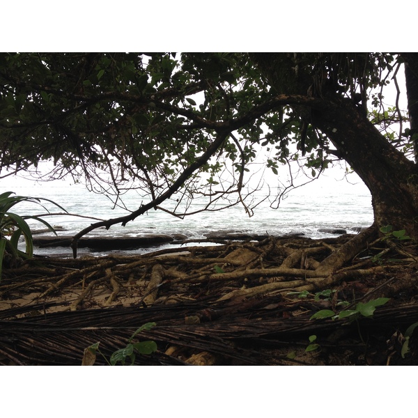 照片 哥斯达黎加(Costa Rica) 卡维塔(Cahuita) 2015-03 27