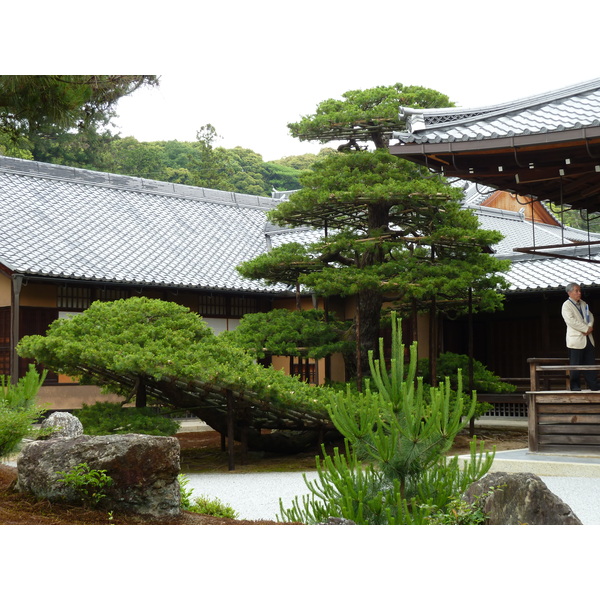 照片 日本(Japan) 京都(Kyoto) 金阁寺(Kinkakuji Temple(Golden Pavilion)) 2010-06 20