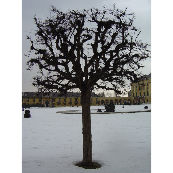 照片 奥地利(Austria) 维也纳(Vienna) 2005-03 3