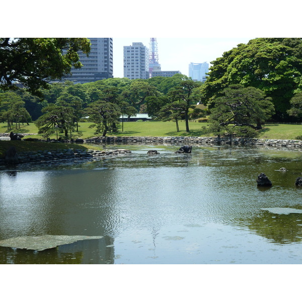 照片 日本(Japan) 东京(Tokyo) 滨离宫恩赐庭园(Hama rikyu Gardens) 2010-06 96