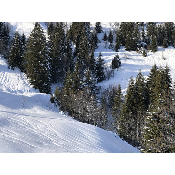 照片 法国(France) 阿尔利河畔普拉(Praz sur Arly) 2019-12 122