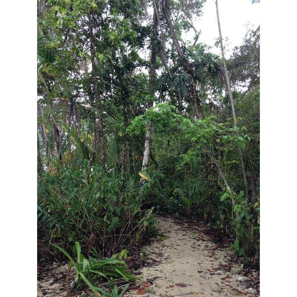 照片 哥斯达黎加(Costa Rica) 卡维塔(Cahuita) 2015-03 265