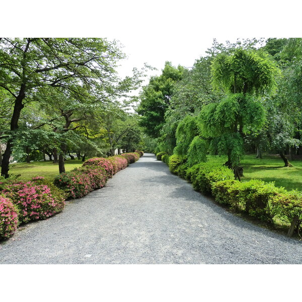 照片 日本(Japan) 京都(Kyoto) 二条城(Nijo Castle) 本丸御殿(Honmaru Palace) 2010-06 53