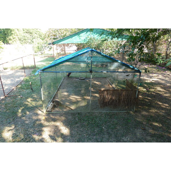 照片 泰国(Thailand) 清迈(Chiang Mai) 湄沙蛇园(Mae Sa Snake Farm) 2010-12 26