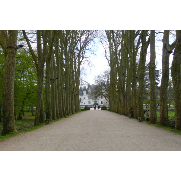 照片 法国(France) 舍农索城堡(Chenonceau Castle) 舍农索城堡花园(Gardens of Chenonceau) 2008-04 37