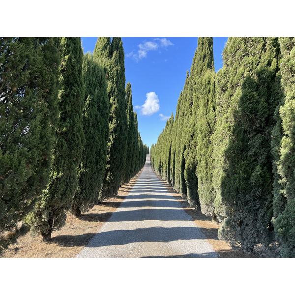 照片 意大利(Italy) 托斯卡纳(Tuscany) 2021-09 20