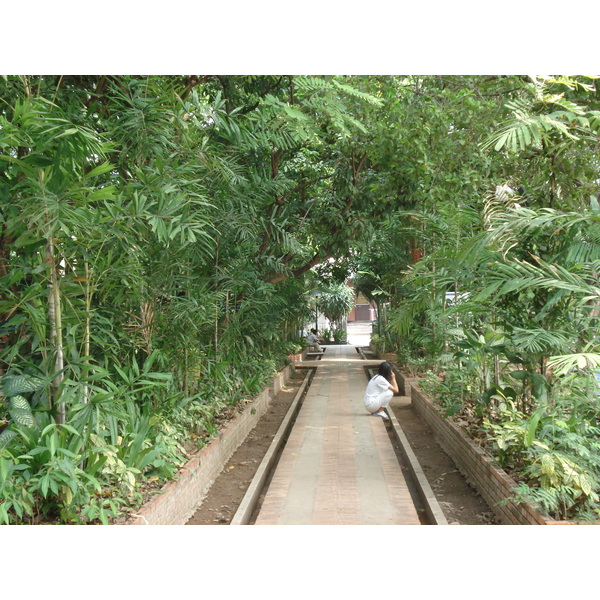 照片 泰国(Thailand) 清迈(Chiang Mai) 护城河内(Inside Canal) 帕辛寺(Wat Phra Sing temple) 2006-04 12