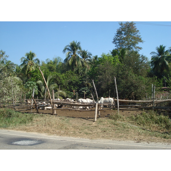 照片 泰国(Thailand) 彭世洛(Phitsanulok) 2008-01 34
