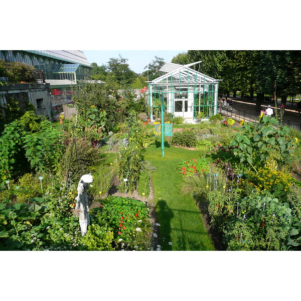 照片 法国(France) 巴黎(Paris) 巴黎植物园(Jardin des Plantes) 2007-08 134