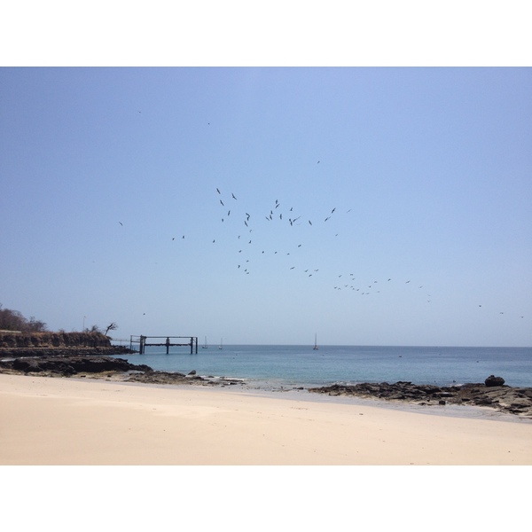 照片 巴拿马(Panama) 孔塔多拉岛(Contadora Island) 2015-03 56