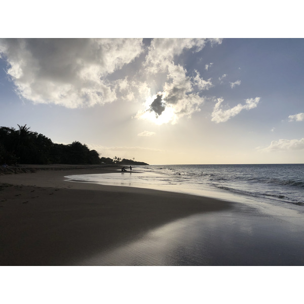 照片 瓜德罗普(Guadeloupe) 珍珠海滩(La Perle Beach) 2021-02 87