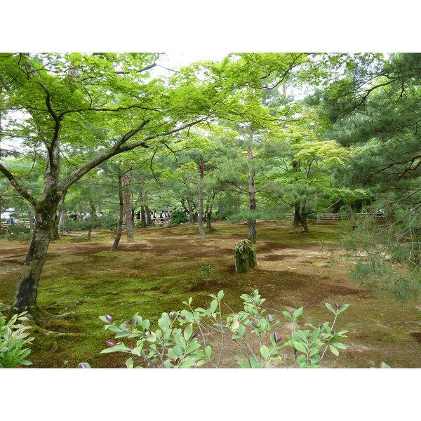 照片 日本(Japan) 京都(Kyoto) 金阁寺(Kinkakuji Temple(Golden Pavilion)) 2010-06 9