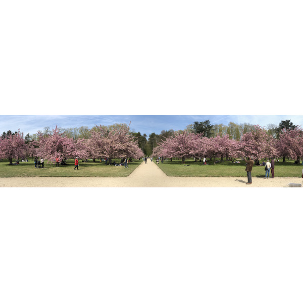 照片 法国(France) 索镇公园(Parc de Sceaux) 2019-04 52