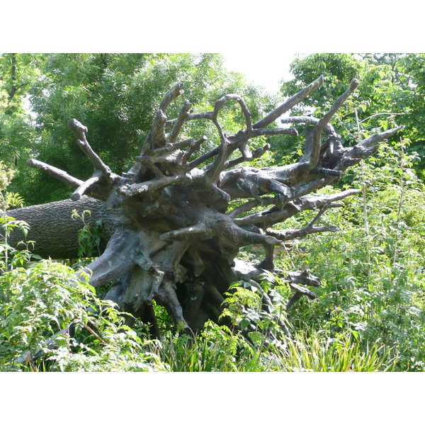 照片 法国(France) 巴黎(Paris) 杜乐丽花园(Garden of Tuileries) 2007-05 273