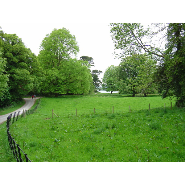 照片 爱尔兰(Ireland) 凯里郡(Kerry) 基拉尼国家公园(Killarney National Park) 马克罗斯湖(Muckross Lake) 2004-05 24