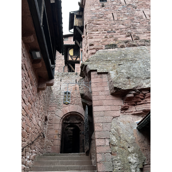 照片 法国(France) 上国王堡(Koenigsbourg Castle) 2023-10 45