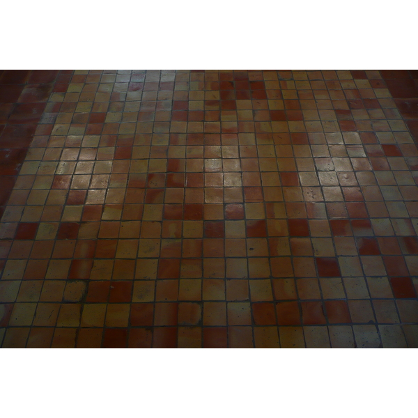 照片 法国(France) 塔拉斯孔(Tarascon) 塔拉斯孔城堡(Tarascon Castle) 2008-04 28