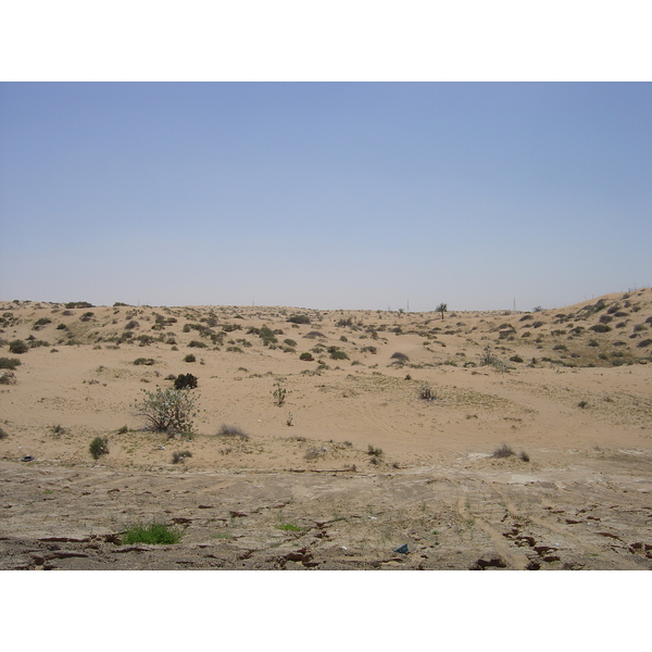 照片 阿联酋(United Arab Emirates) 阿治曼附近公路(Road near Ajman) 2005-03 3