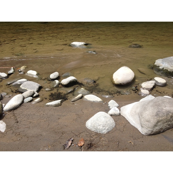照片 哥斯达黎加(Costa Rica) 帕夸雷河(Pacuare River) 2015-03 106