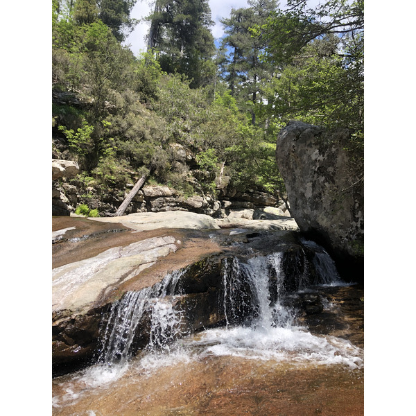 照片 法国(France) 科西嘉岛(Corsica) 艾托内森林(Aitone Forest) 2021-06 36