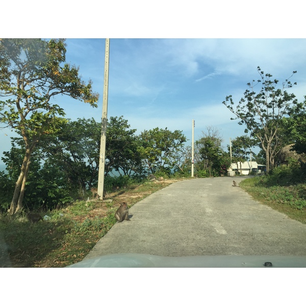 照片 泰国(Thailand) 华欣(Hua hin) 2016-01 48