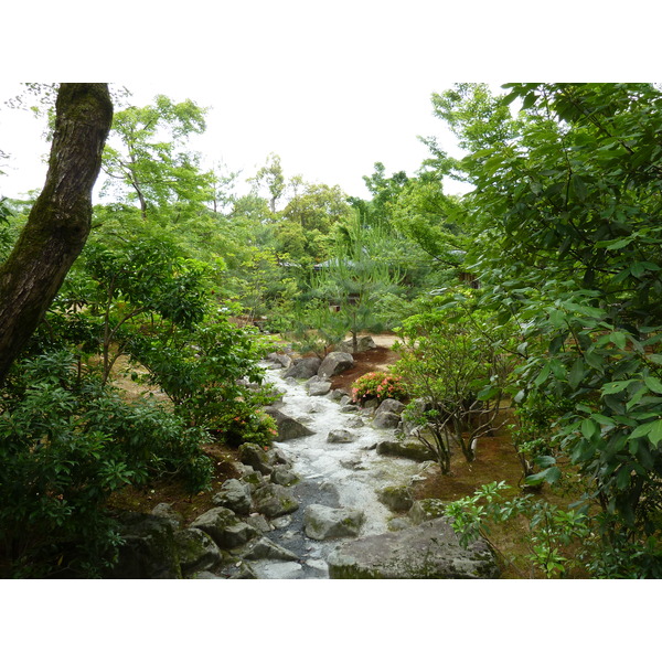 照片 日本(Japan) 京都(Kyoto) 金阁寺(Kinkakuji Temple(Golden Pavilion)) 2010-06 49
