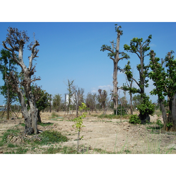 照片 泰国(Thailand) 宗甸(Jomtien) 2007-02 21