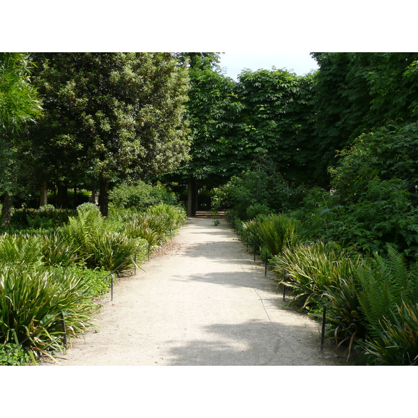 照片 法国(France) 巴黎(Paris) 杜乐丽花园(Garden of Tuileries) 2007-05 241