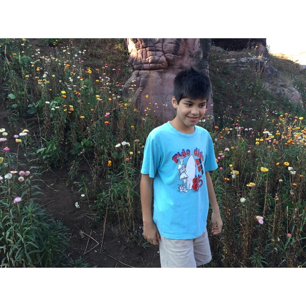 照片 泰国(Thailand) 普欣隆卡国家公园(Phu Hin Rong Kla National Park) 2014-12 78