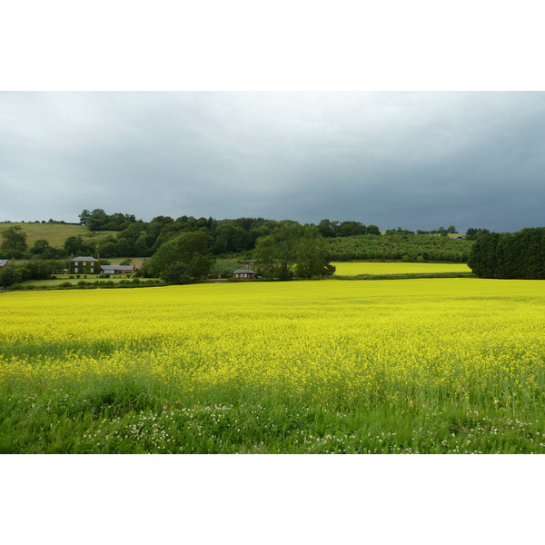 照片 英国(United Kingdom) 苏格兰(Scotland) 2011-07 115