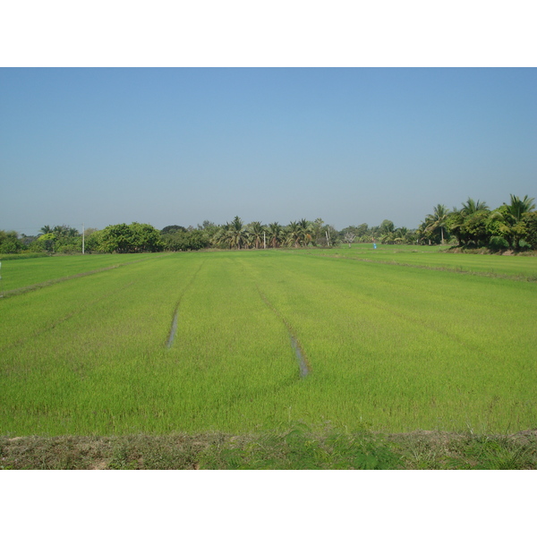 照片 泰国(Thailand) 彭世洛(Phitsanulok) 2008-01 20