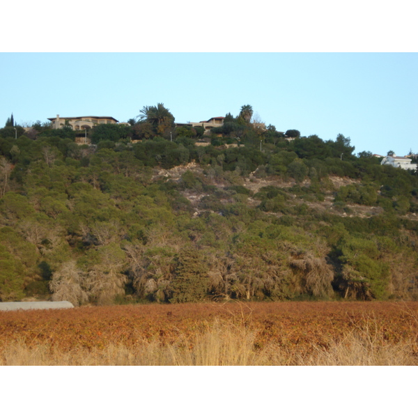 照片 以色列(Israel) 海法至特拉维夫(From Haifa to Tel Aviv) 2006-12 66